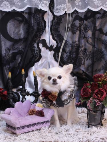 20231012りゅうくん